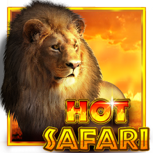 Hot Safari